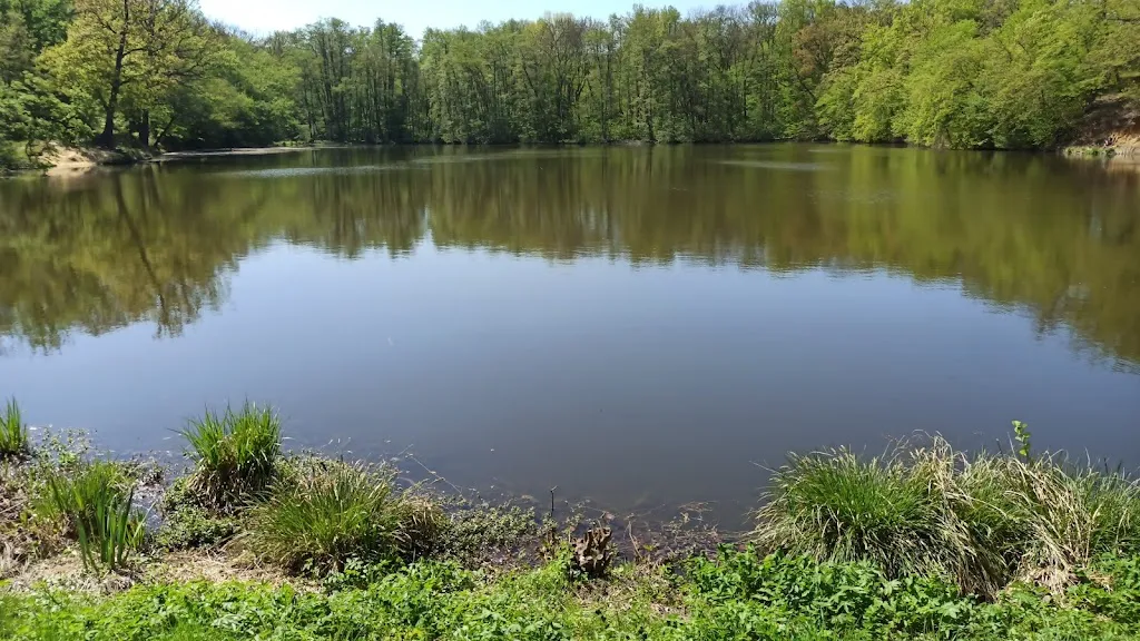 Biergarten_(Harz)_slider_image_3