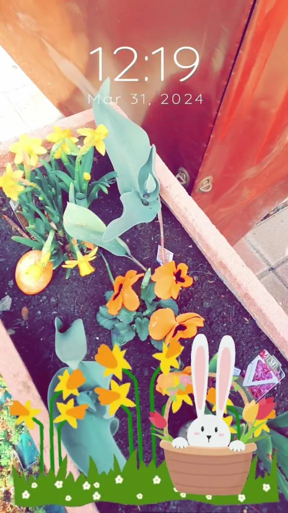 Eiscafé Weber_Schkopau_slider_image_2