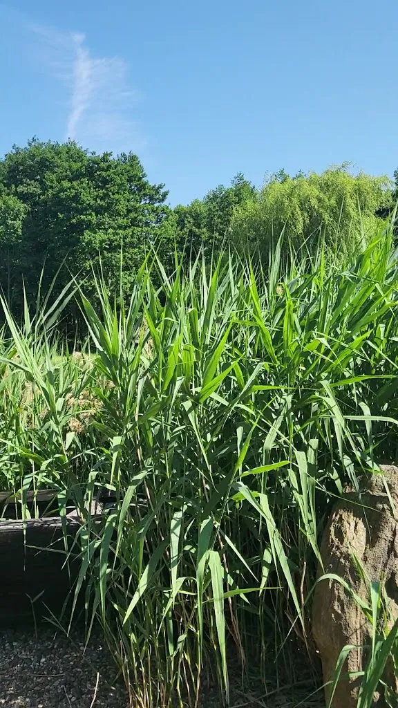 Fischerhof Gahrns GmbH_Gardelegen_slider_image_2