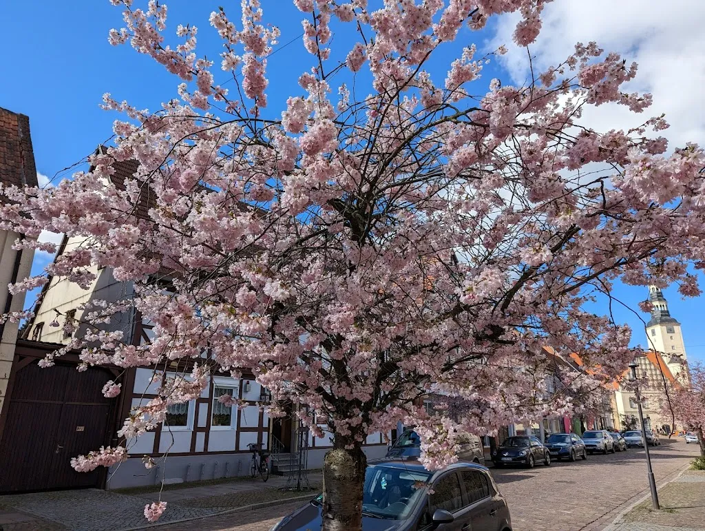 Gaststätte Stadtschenke_Gardelegen_slider_image_2