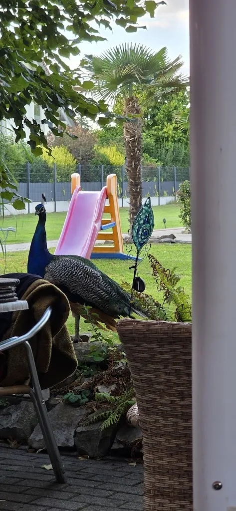 Amarjit - Indisches Spezialitätenrestaurant_Gommern_slider_image_3