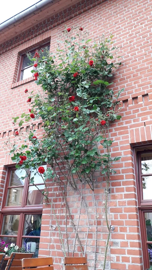 Pan Pośpiech_Restaurant Syrtaki Barleben_Barleben_review