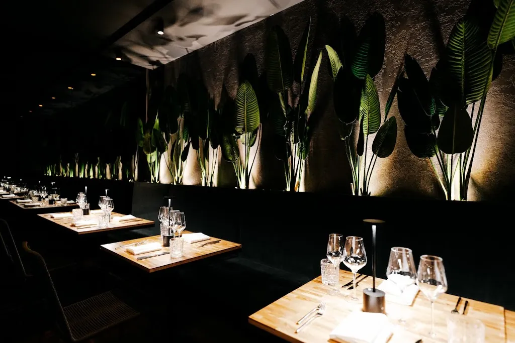 The DJNGL • Fusion Kitchen (Brunch & Dinner) restaurant in Heidelberg