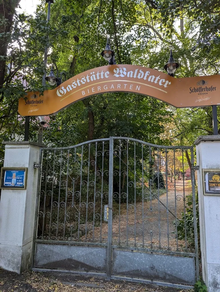 Smashing Pumpkin_Waldkater_(Saale)_review