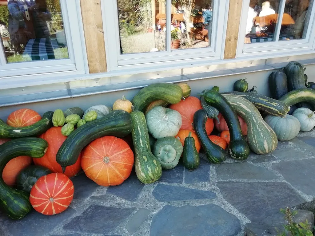 Menu_Selketaler Waldgasthof_Harzgerode_image_8