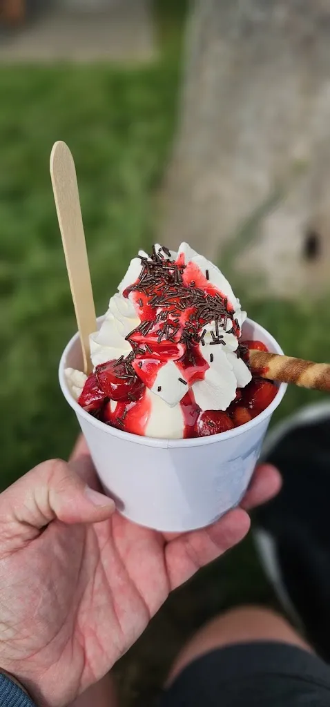 Menu_Die Eismanufaktur_Jessen_immagine_9