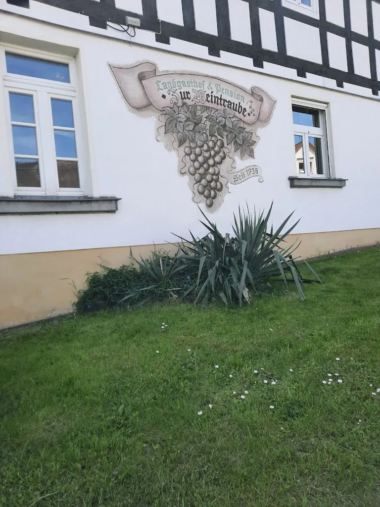 Restaurant Zur Weintraube_Kretzschau_slider_image_3