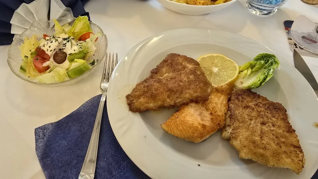 Frank Standar_Schleimöwe_Schleswig_review