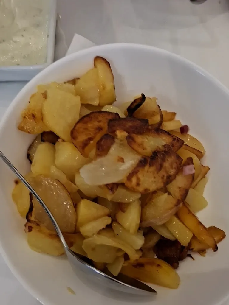 Schleimöwe_Schleswig_slider_image_2