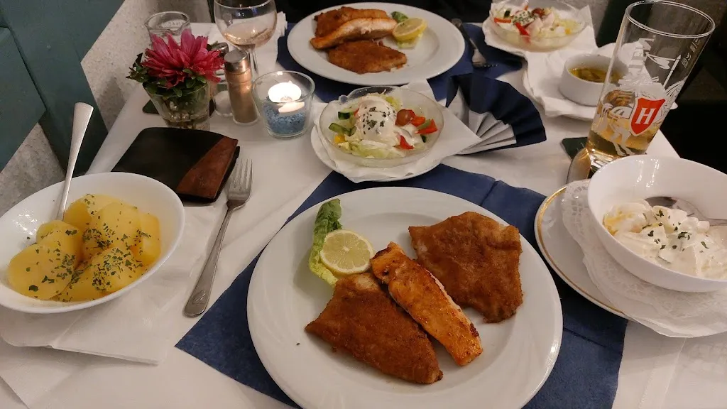 Schleimöwe_Schleswig_slider_image_3