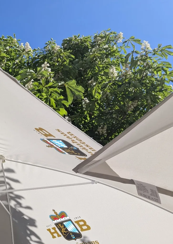 Alex Brunhuber_Landgasthaus Mesnerwirt_Chiemsee_review