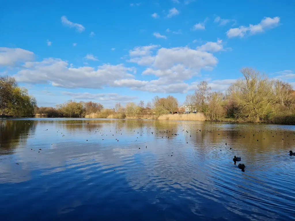 Henning Springer_Wassermühle Wedel_Wedel_review