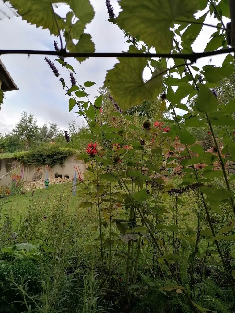 Zum Alten Berg_Güntersleben_slider_image_3