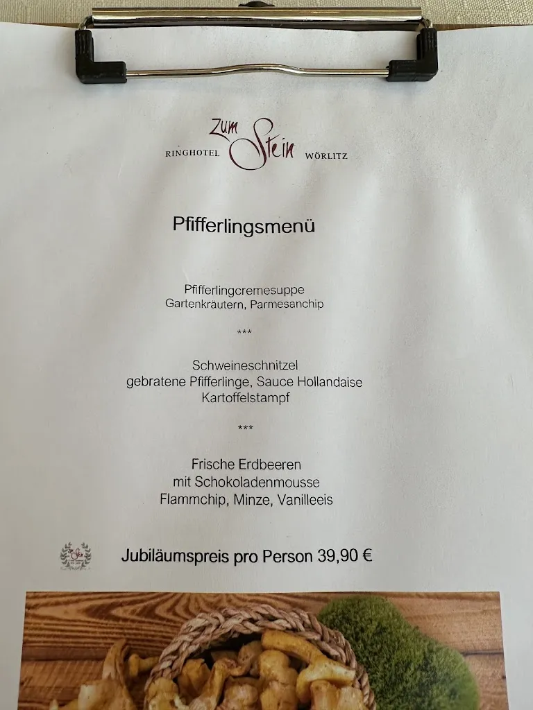 Menu_Ringhotel Zum Stein Wörlitz_Oranienbaum-Wörlitz_image_3