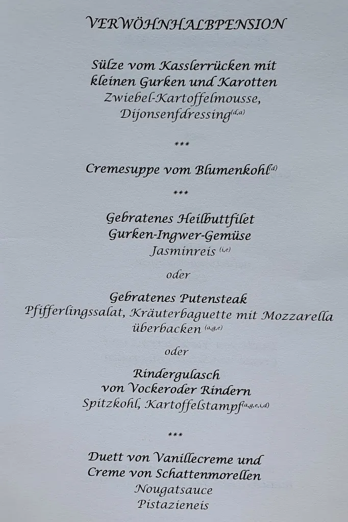 Menu_Ringhotel Zum Stein Wörlitz_Oranienbaum-Wörlitz_image_4