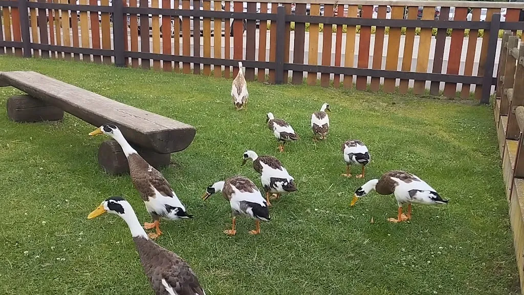 Hofladen-Bäckerei & Cafe_Thale_slider_image_2