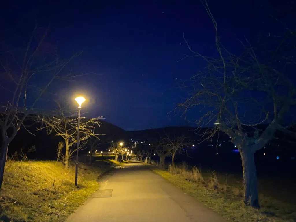 Denyse Tesire_Hotel-Restaurant & Café Waldschlösschen_Wangen_Bewertung