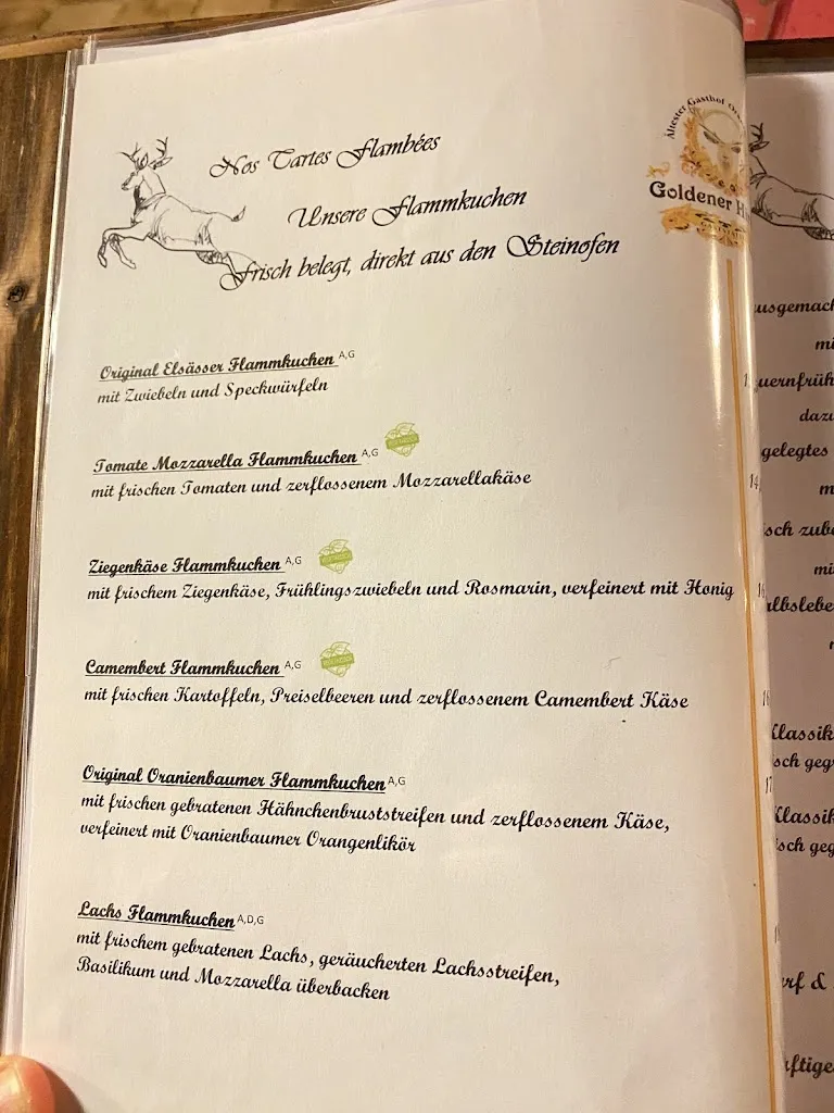 Menu_Restaurant Goldener Hirsch_Oranienbaum-Wörlitz_image_4