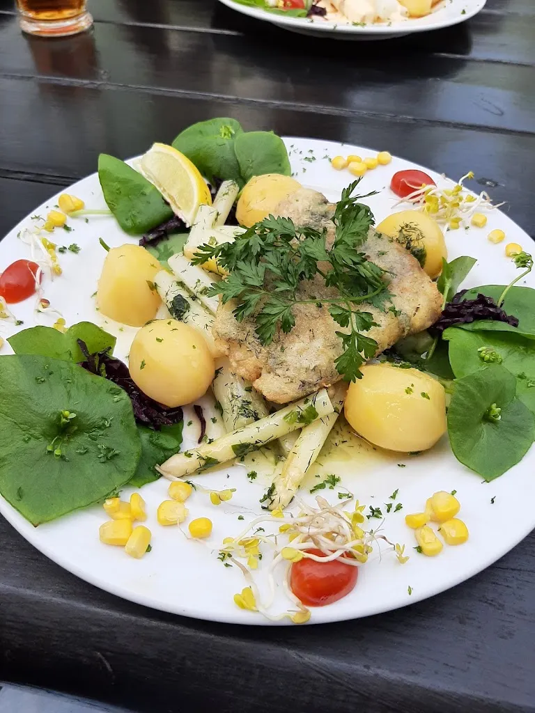 Menu_Gaststätte u. Pension Birkenblick_(Elbe)_image_5