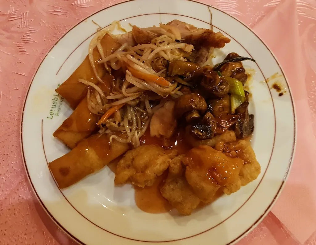 Menu_Lotusblume Wu_Stendal_image_9