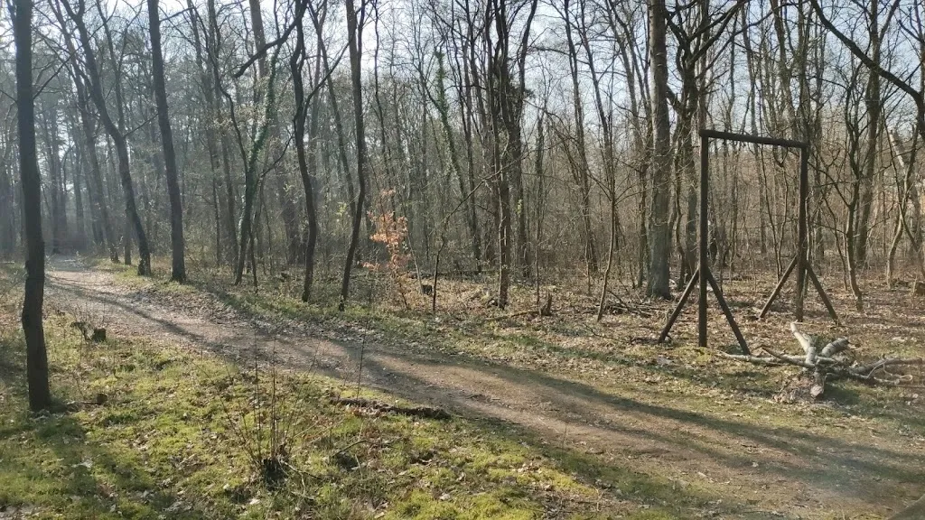 Salus-Fachklinikum Uchtspringe_Stendal_slider_image_2