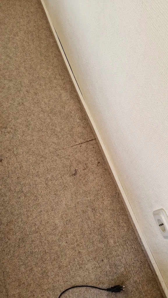 małgorzata beldzikowska_Hotel Burg Wanzleben_Wanzleben-Börde_review