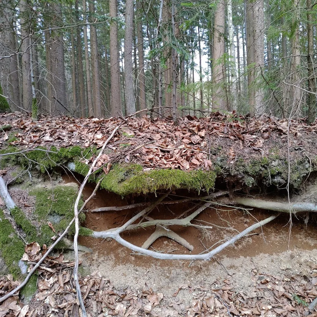 Gasthaus Paster_Grainet_slider_image_2