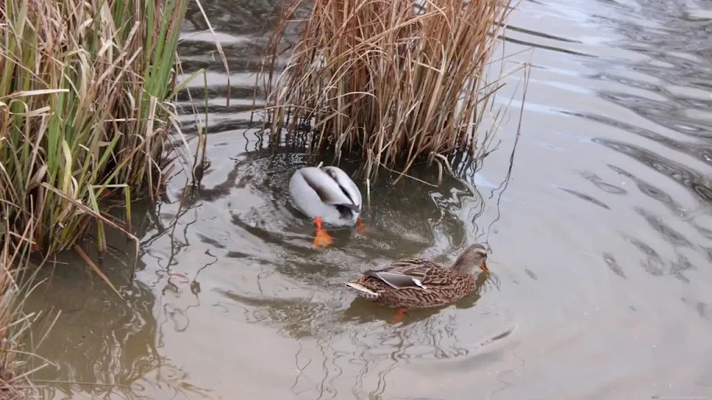 Ahrensburg Palace_Ahrensburg_slider_image_2