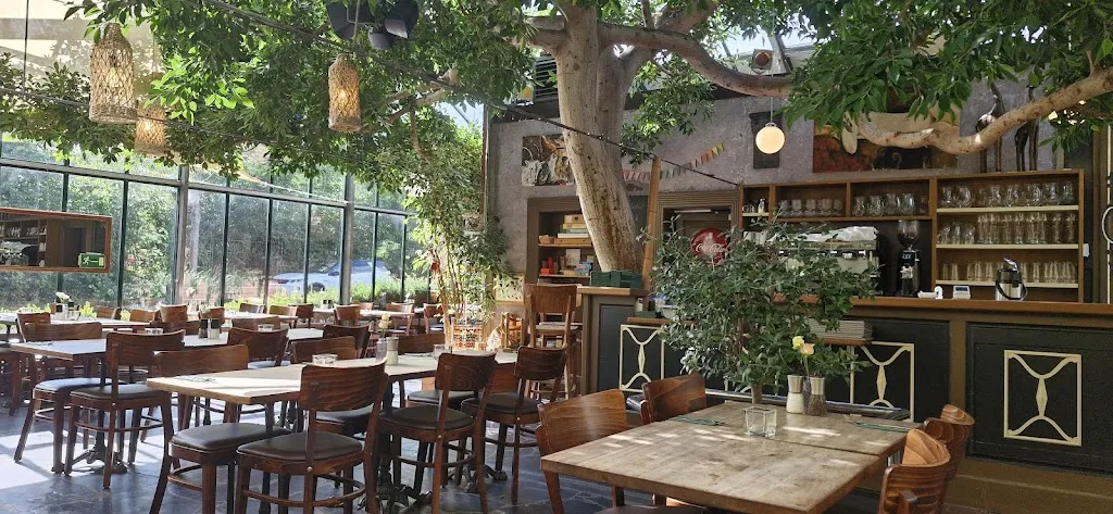 Glacehaus_Oldesloe_slider_image_2