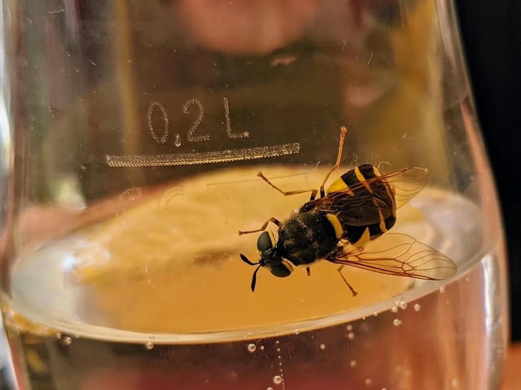 Menu_Taj Indian_Gröbenzell_image_9