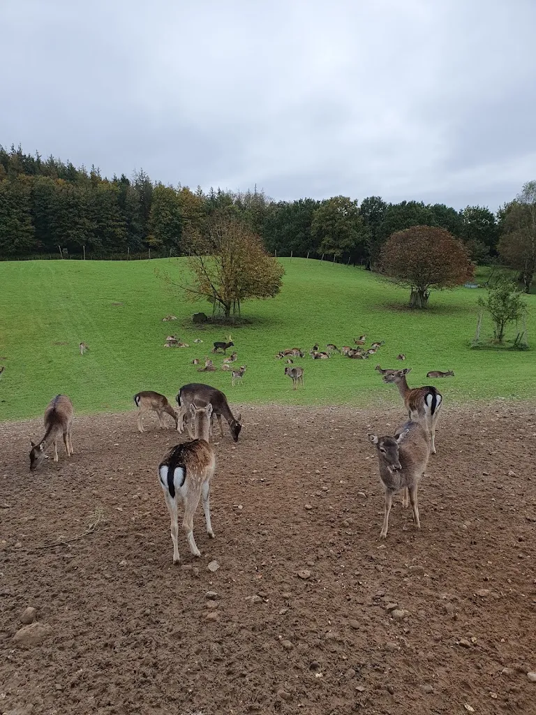 Gaststätte Waldhütte_Brekendorf_slider_image_3