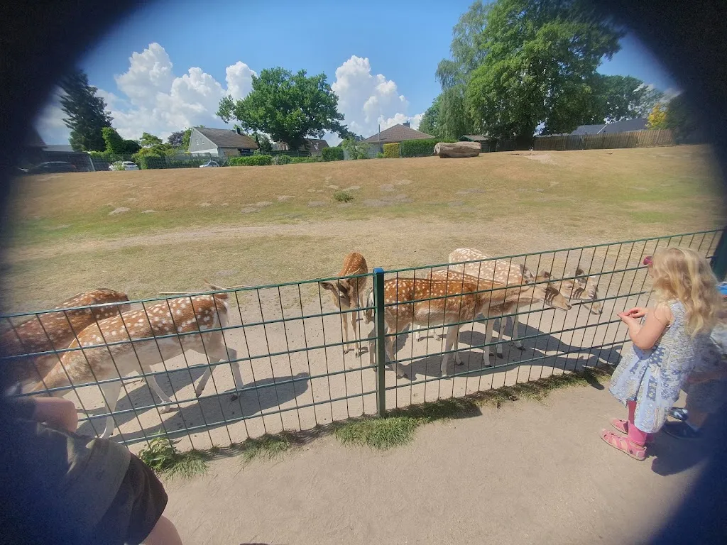 Mustafa Al saede_Gettorf Zoo_Gettorf_review