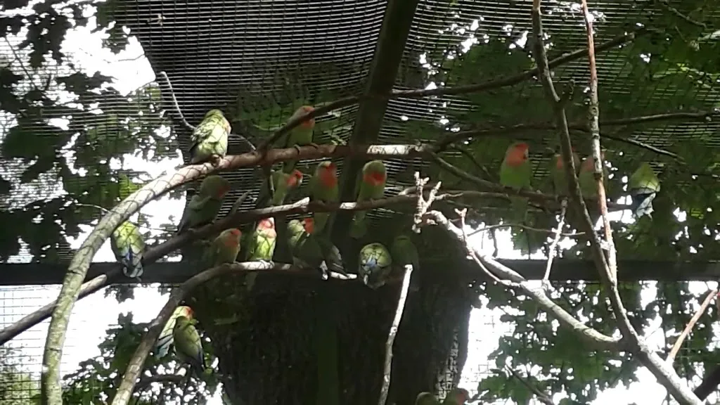 Gettorf Zoo_Gettorf_slider_image_2