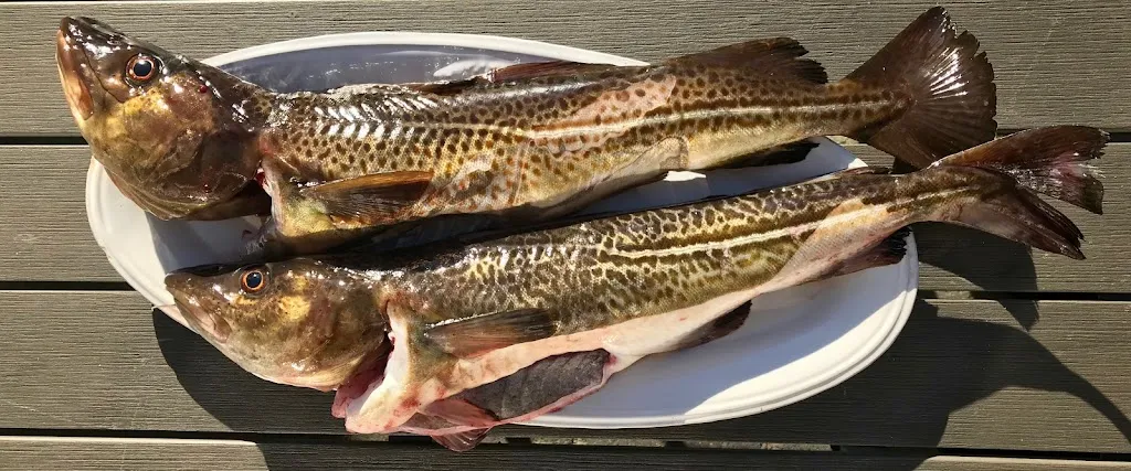 Fischdeel | Land & Meer_Eckernförde_slider_image_3