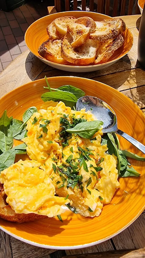 Menu_The Olive Tree Eckernförde_Eckernförde_image_4