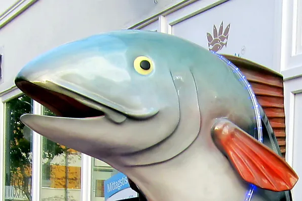 FischZeit – Die Fischbrötchen-Manufaktur restaurant in Eckernförde