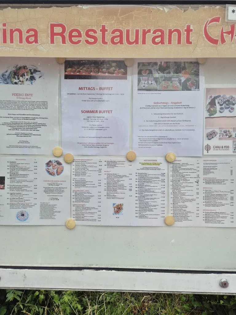 Menu_China Restaurant Chau & Yeo_Eckernförde_immagine_4