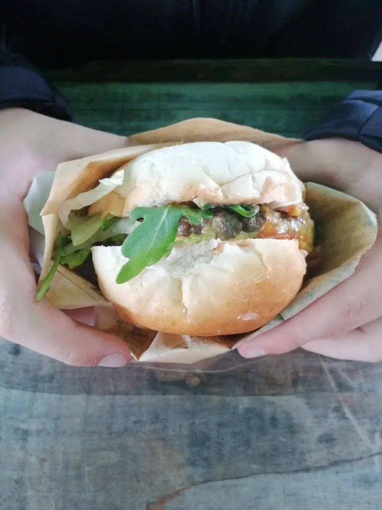 M Damm_„ Frieda“_Großenbrode_review