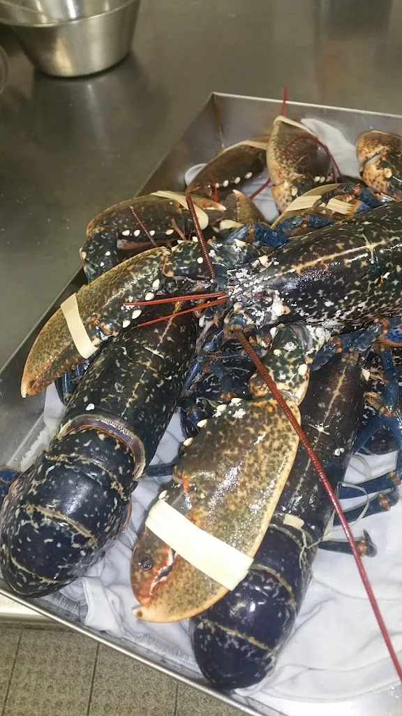 Menu_Restaurant Il Mulino_Puchheim_image_2