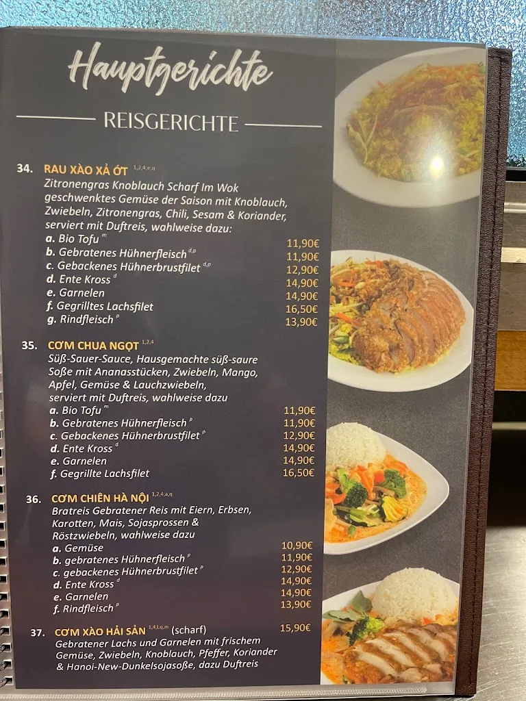Menu_Hanoi New Vietnamesisches Restaurant_Henstedt-Ulzburg_image_1