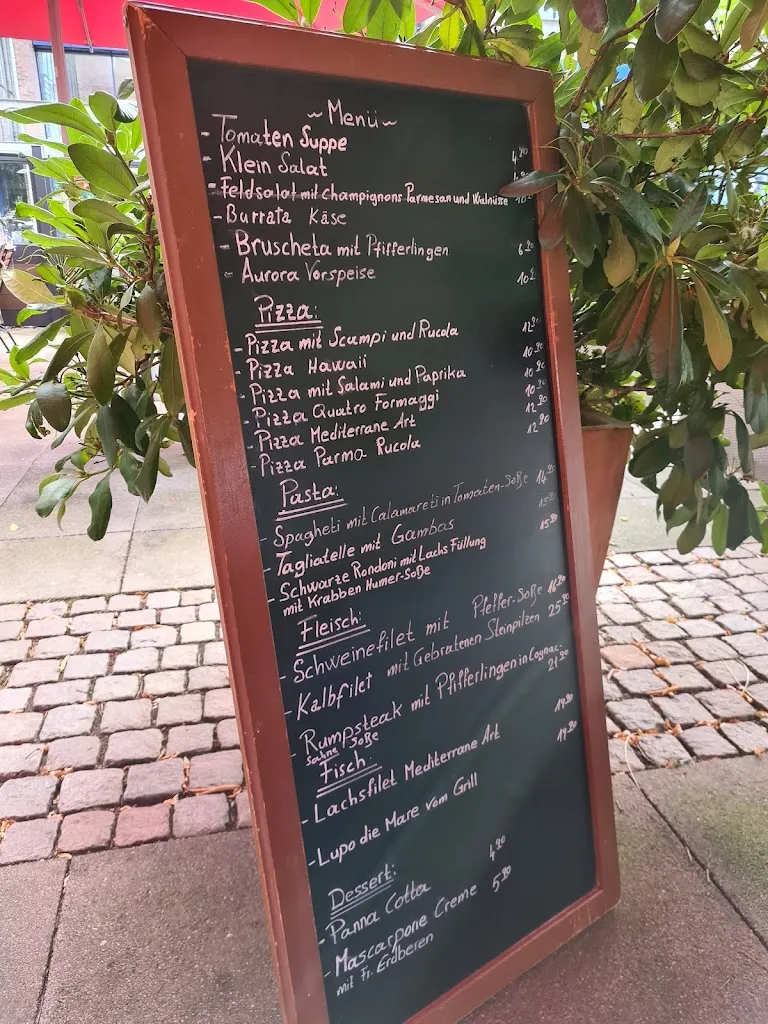 Menu_Aurora Das Restaurant_Henstedt-Ulzburg_image_3