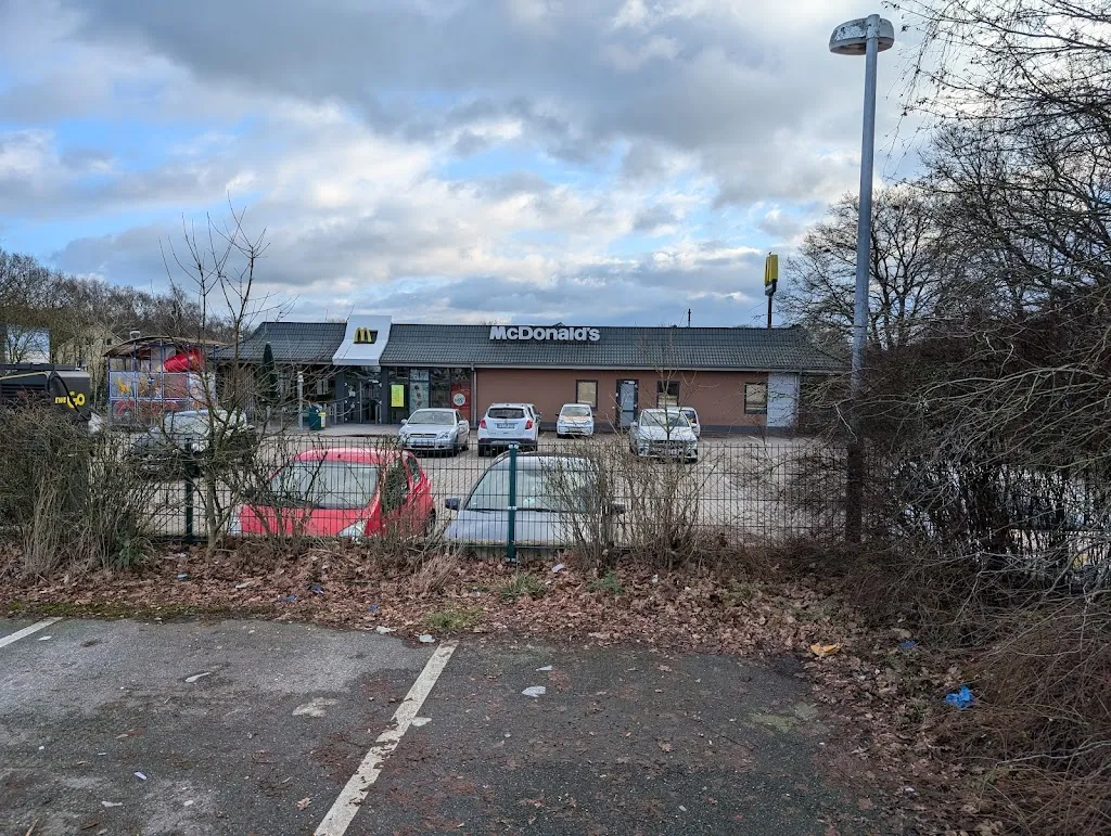 Ace The truth_McDonald's_Henstedt-Ulzburg_review