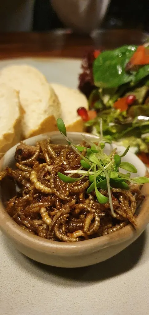 Menu_Dschungelrestaurant_Wangels_image_6