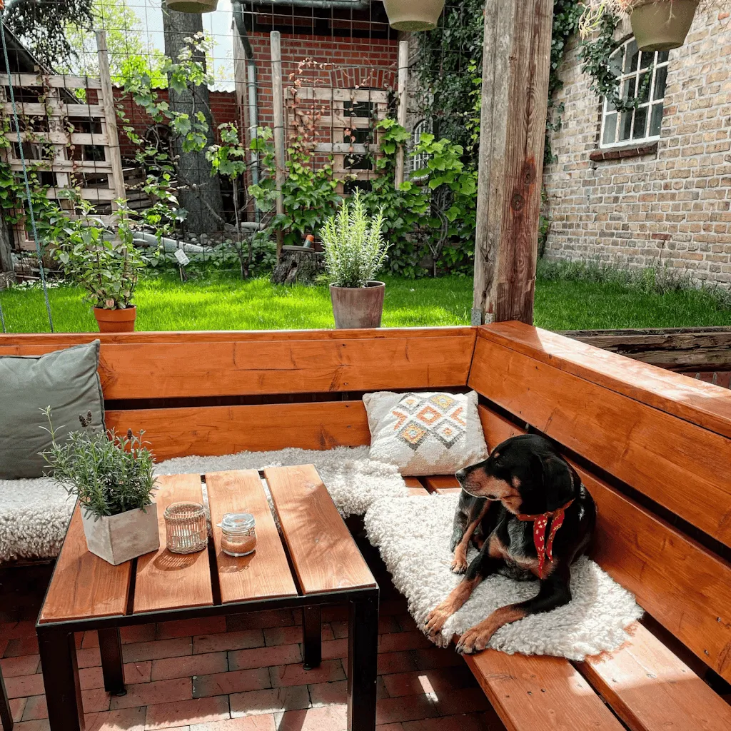 Surfcafé Heiligenhafen restaurant in Heiligenhafen