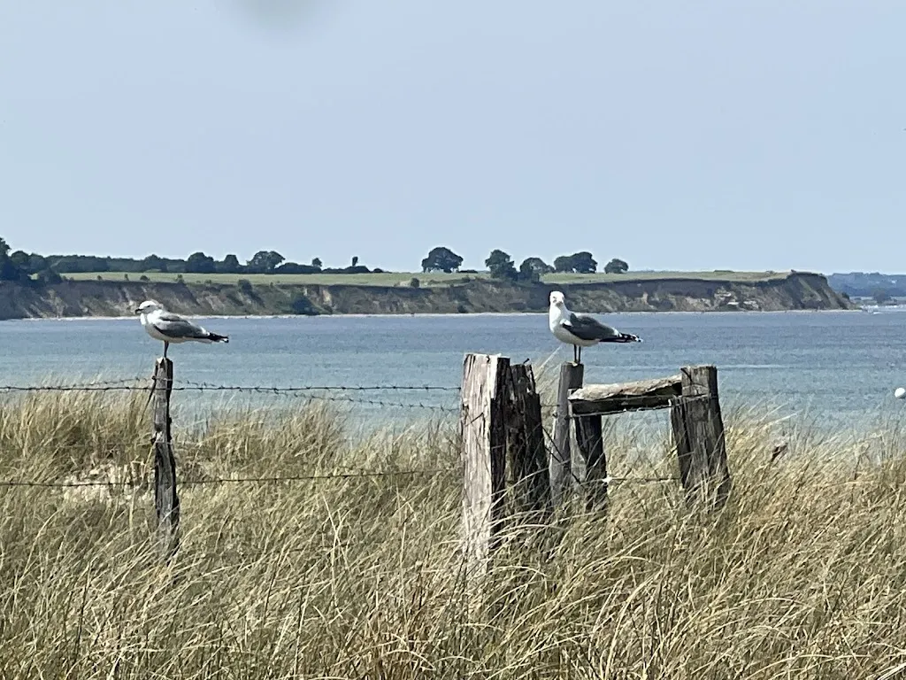 Chaosqueen Köln_Strandbistro Weißenhäuser Strand_Holstein_review