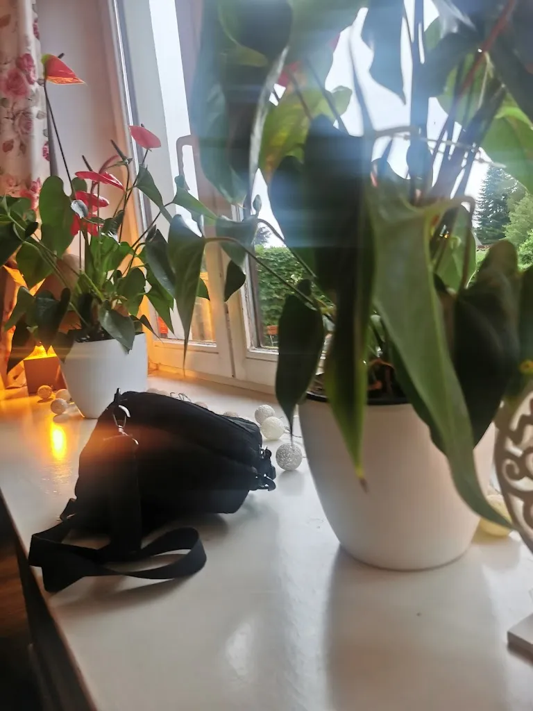 R. Bitterbier_Gasthaus Rosenhof_Offenseth-Sparrieshoop_review