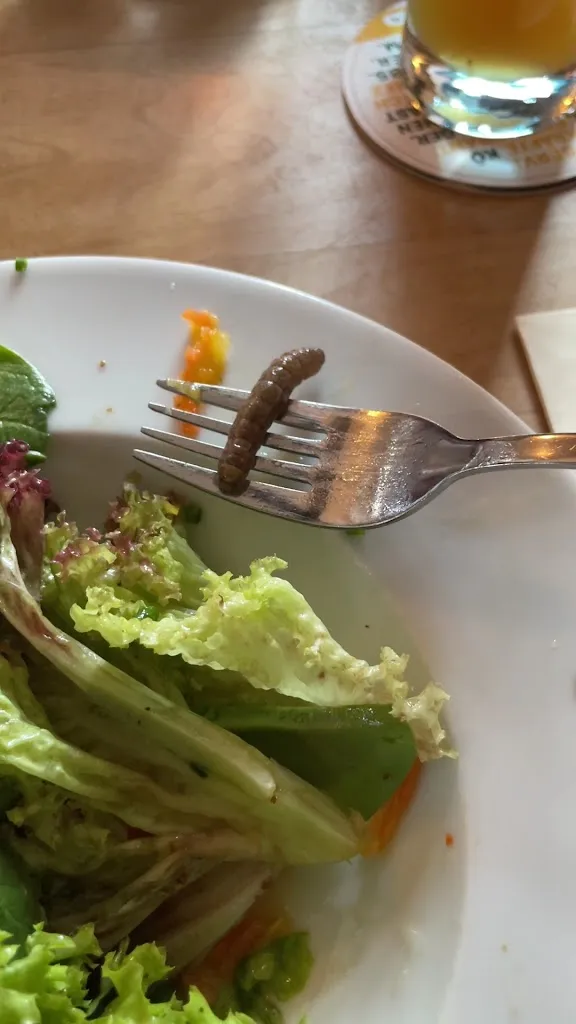 Kybfelsen_Breisgau_slider_image_2