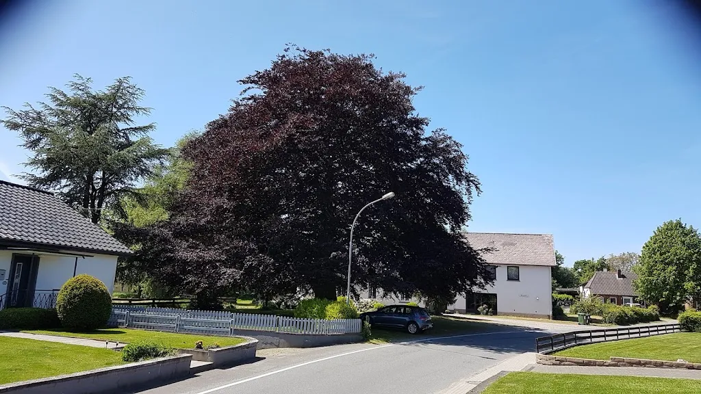 Dörphus Berend_Nübel_slider_image_3