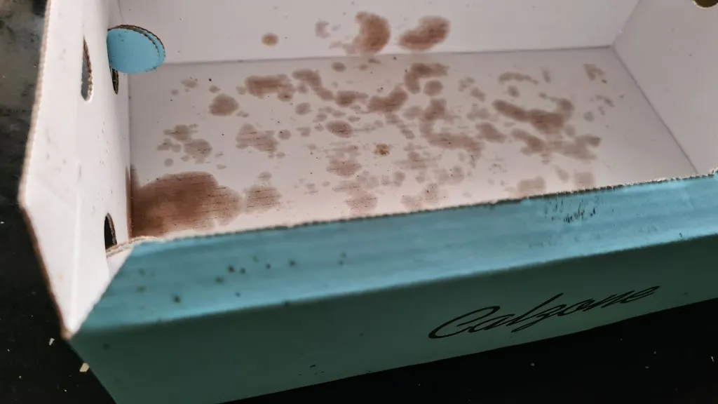 Christoph Schütt_Döner Nusse_Nusse_review