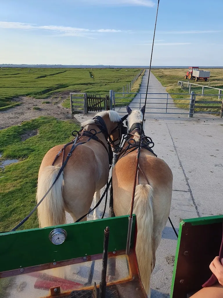 susanne rohde_Restaurant Südfall_Pellworm_review